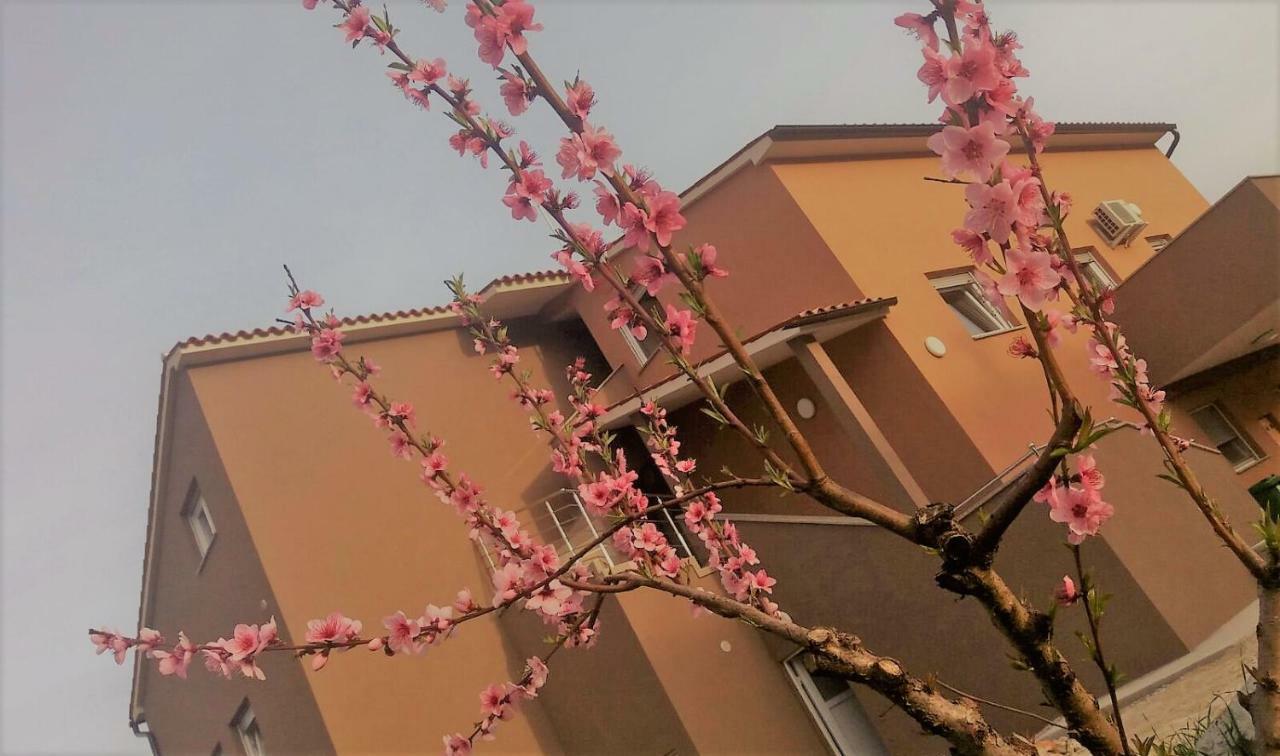 Apartmani B&B Ližnjan Exterior foto